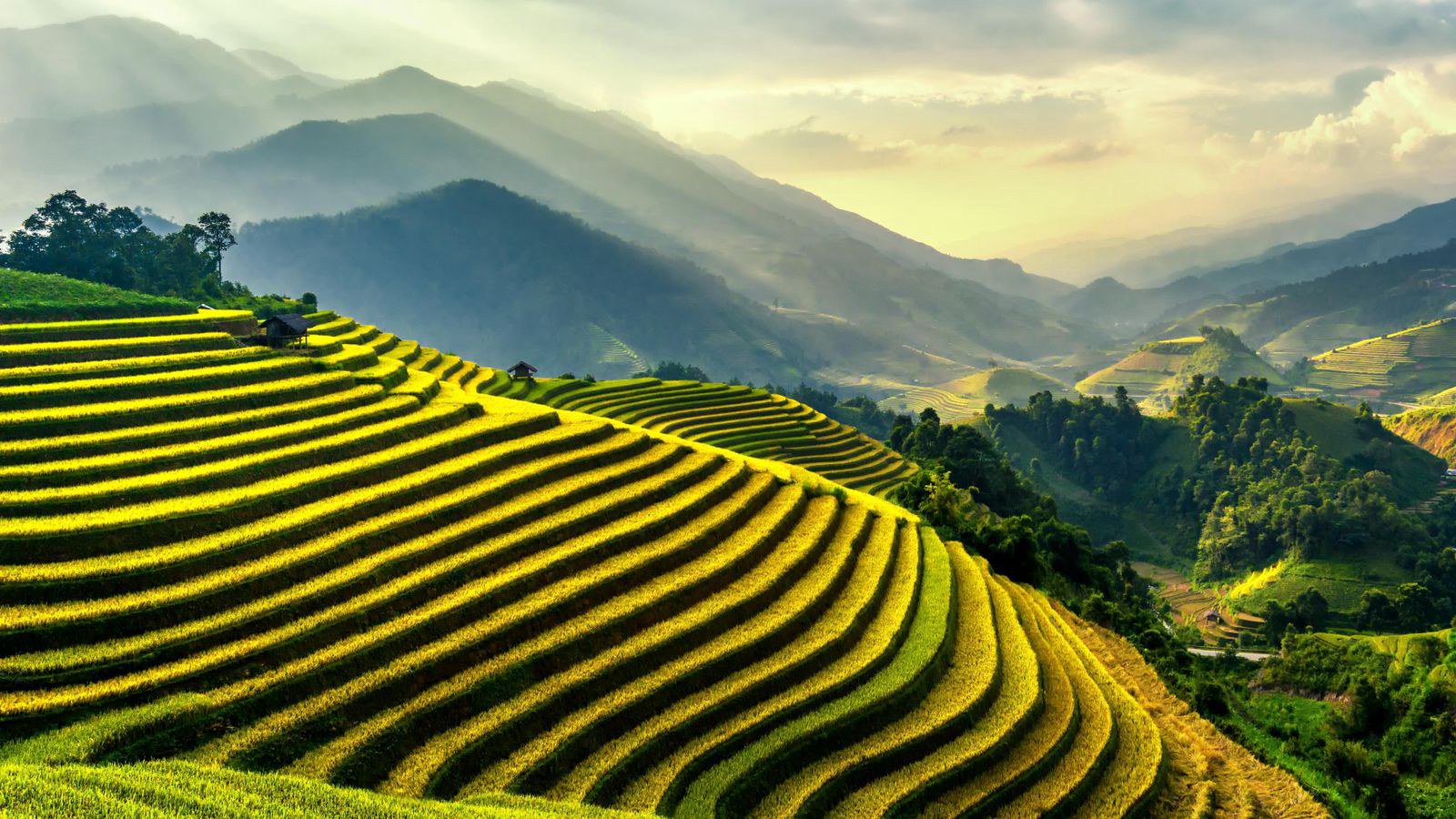 Dấu hiệu cần gặp bác sĩ sớm Dấu hiệu cần gặp bác sĩ sớm